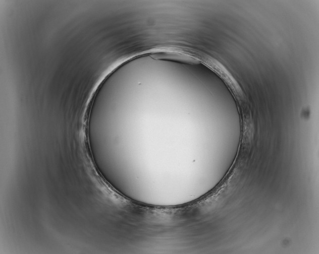 X0000099520908200805291208