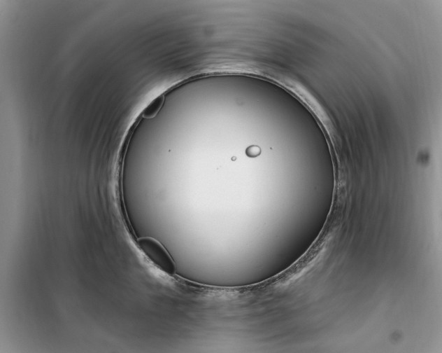 X0000099520909200805291208