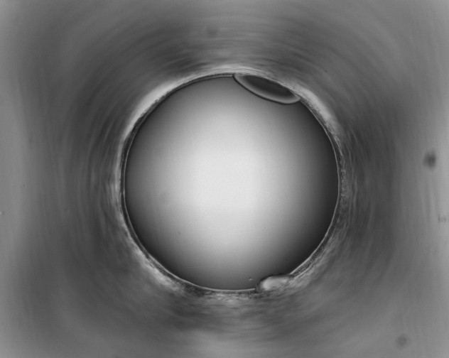 X0000099520910200805291208