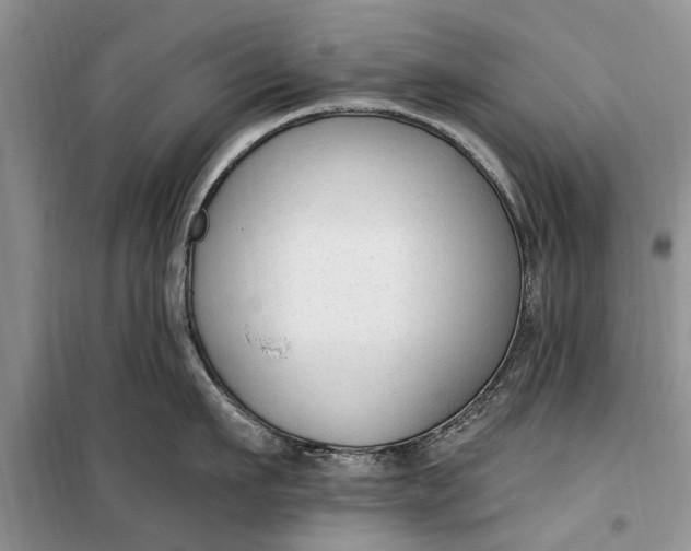 X0000099520911200805291208