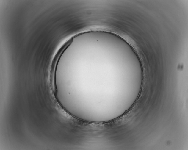 X0000099520912200805291208