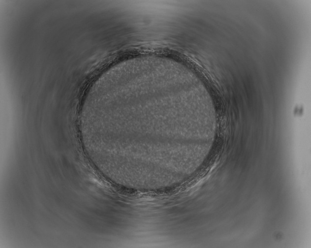 X0000099520913200805291208