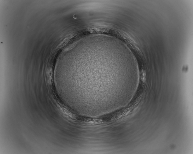 X0000099520915200805291208