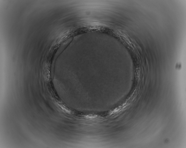 X0000099520916200805291208