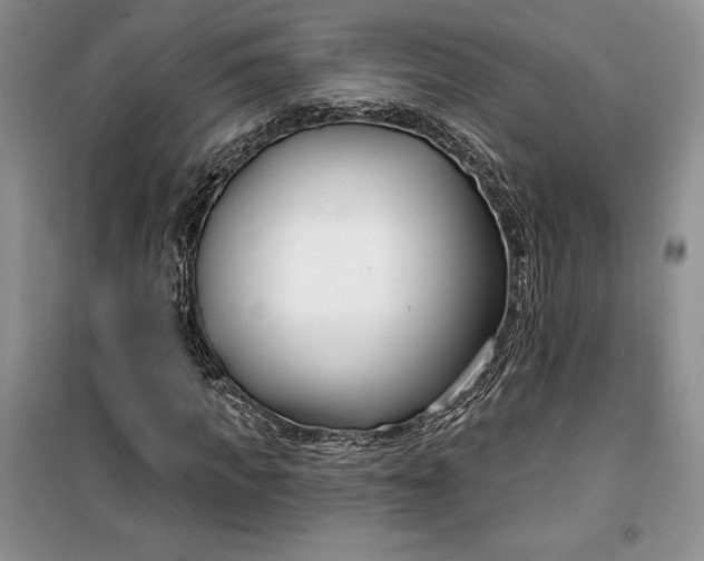 X0000099520917200805291208