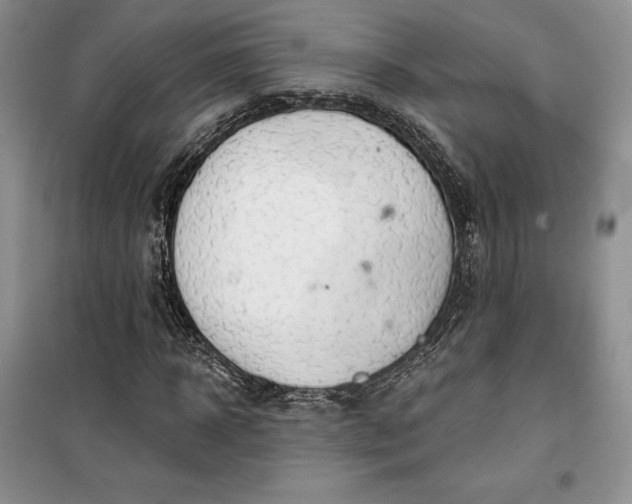 X0000099520918200805291208