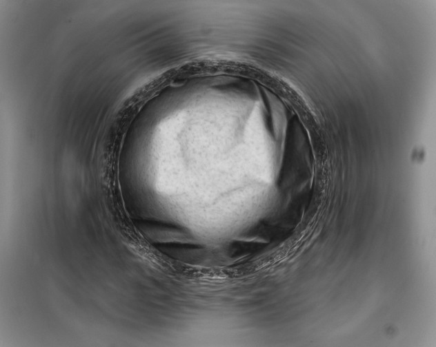 X0000099520919200805291208