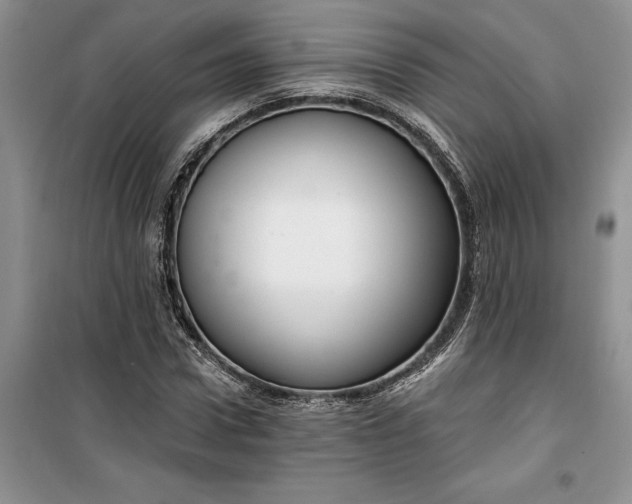 X0000099520922200805291208