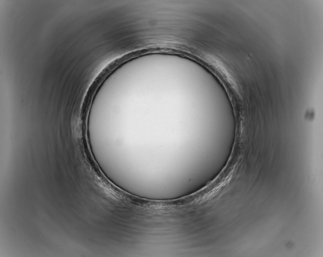 X0000099520924200805291208