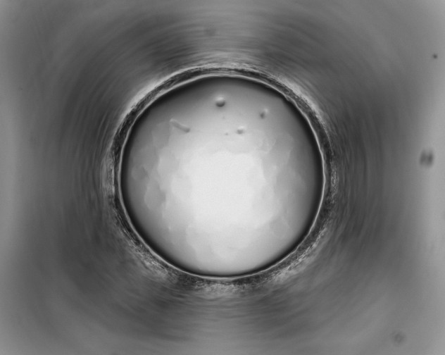 X0000099520925200805291208