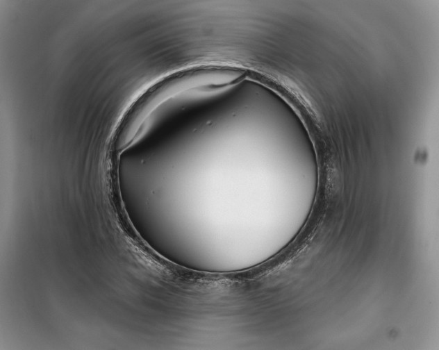 X0000099520926200805291208