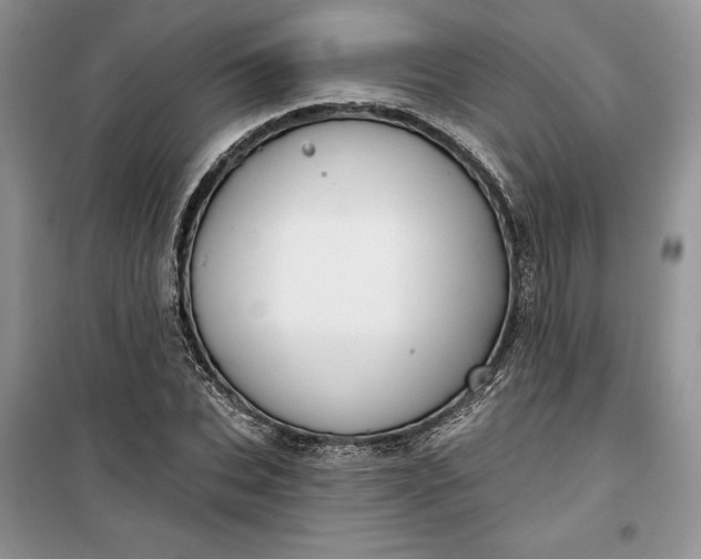 X0000099520927200805291208