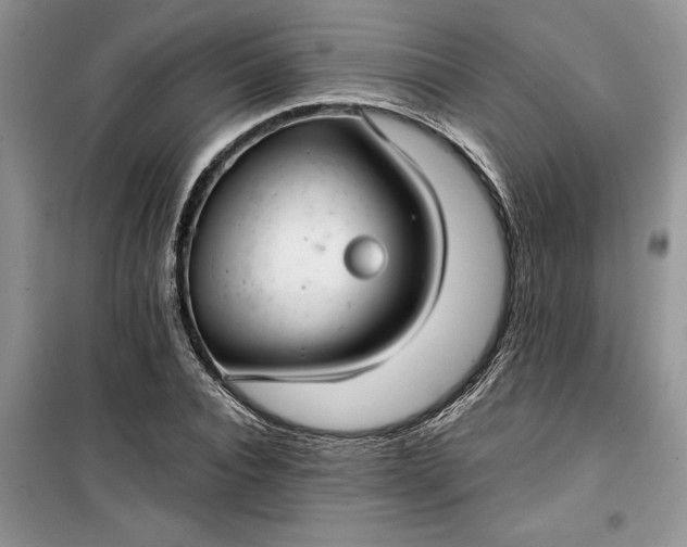 X0000099520928200805291208