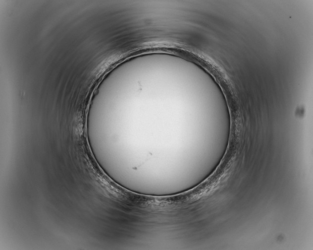 X0000099520929200805291208