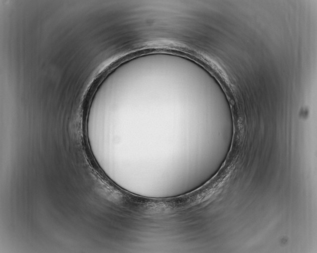 X0000099520931200805291208