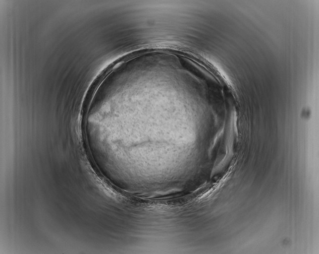 X0000099520932200805291208