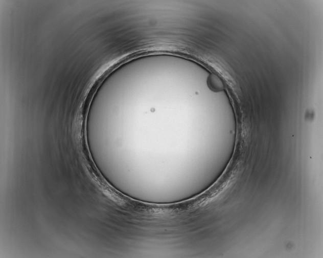 X0000099520933200805291208