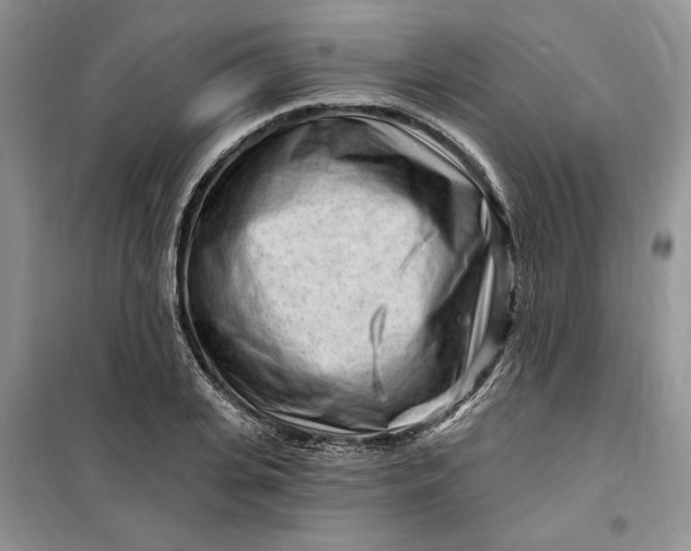 X0000099520935200805291208