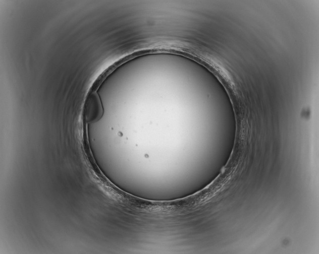 X0000099520936200805291208