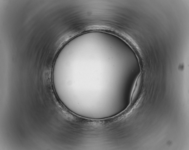 X0000099520937200805291208