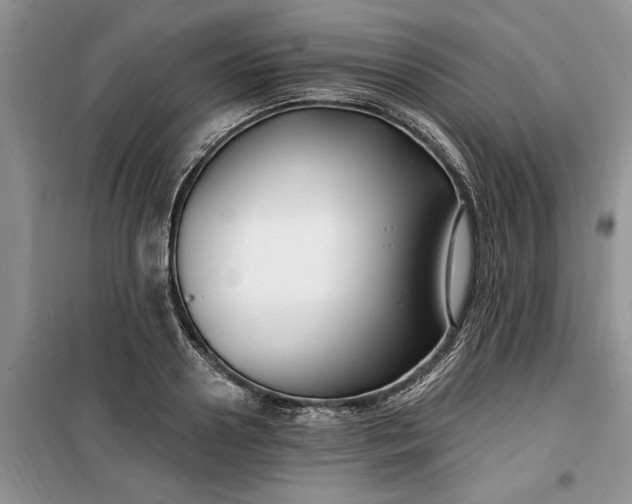 X0000099520938200805291208