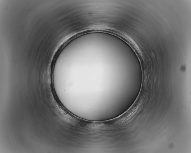 X0000099520939200805291208