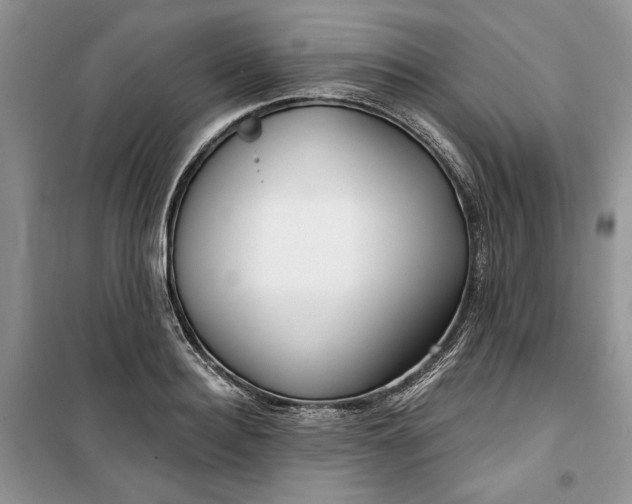 X0000099520940200805291208