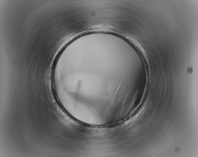 X0000099520941200805291208