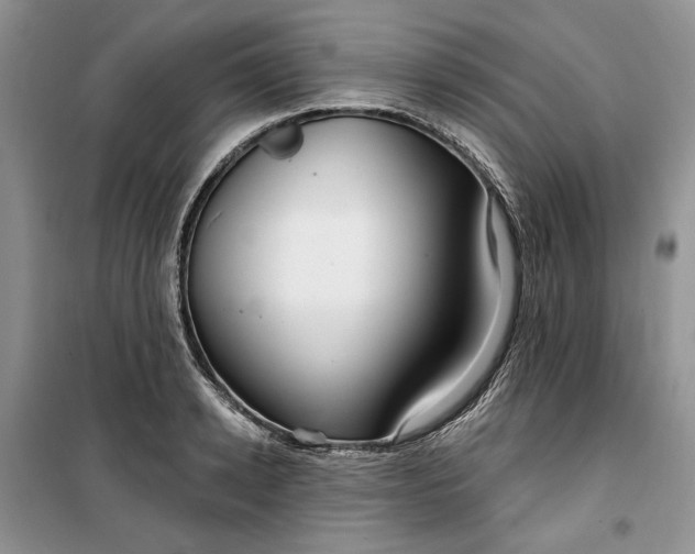 X0000099520942200805291208