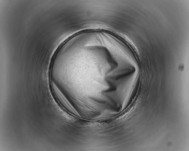 X0000099520943200805291208