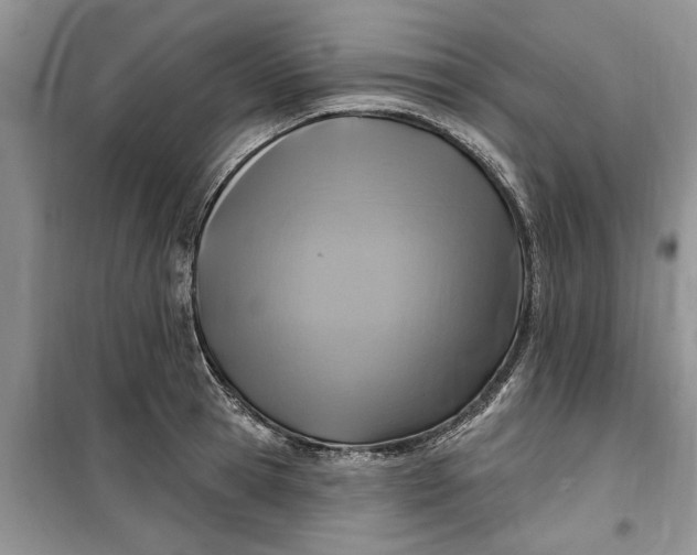 X0000099520945200805291208