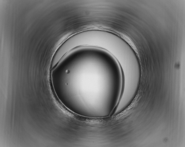 X0000099520946200805291208