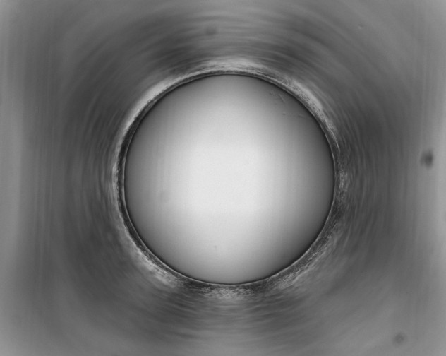 X0000099520947200805291208