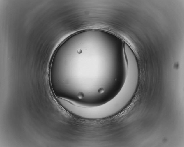 X0000099520948200805291208