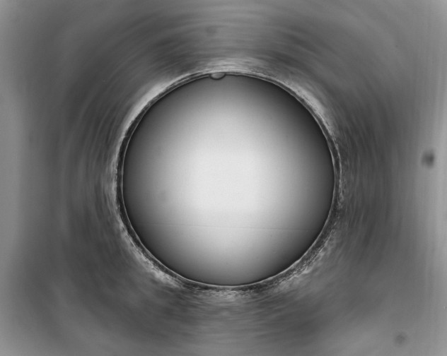 X0000099520949200805291208