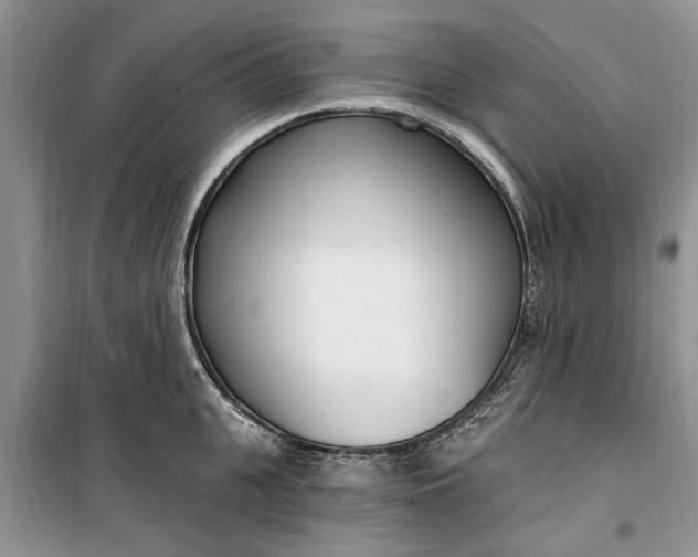 X0000099520951200805291208