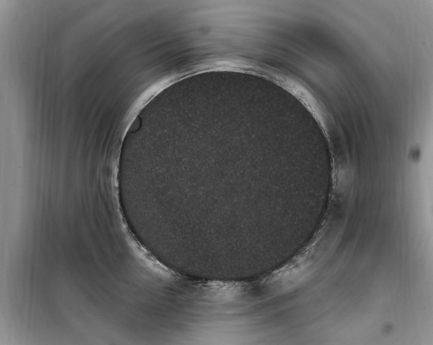 X0000099520954200805291208