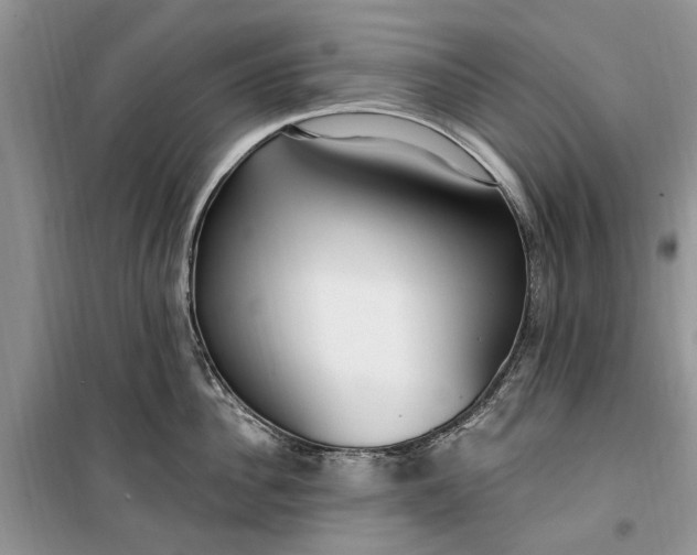 X0000099520956200805291208