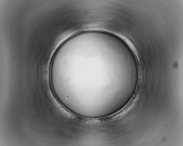 X0000099520957200805291208