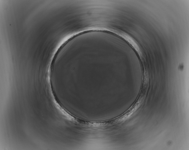 X0000099520958200805291208