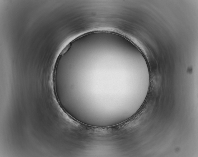 X0000099520959200805291208