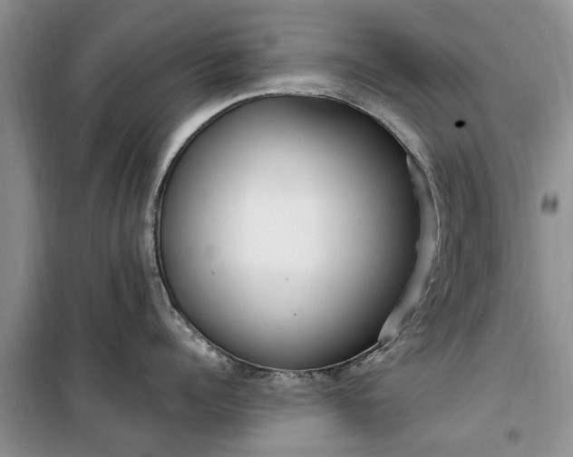 X0000099520960200805291208