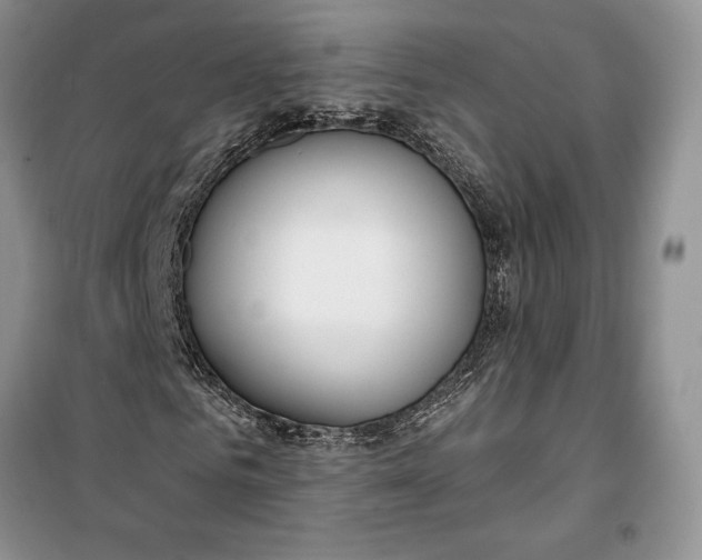 X0000099520961200805291208