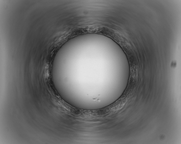 X0000099520962200805291208