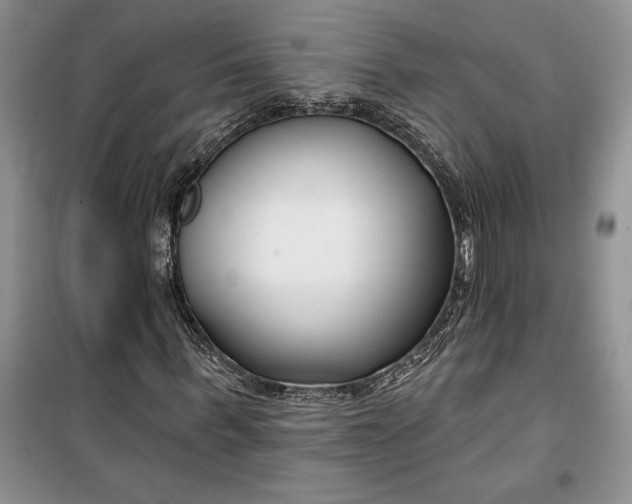 X0000099520963200805291208