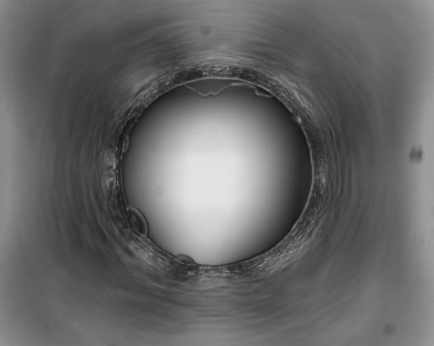 X0000099520964200805291208