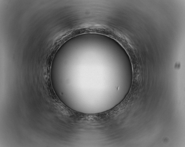 X0000099520966200805291208