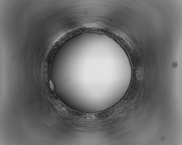 X0000099520968200805291207