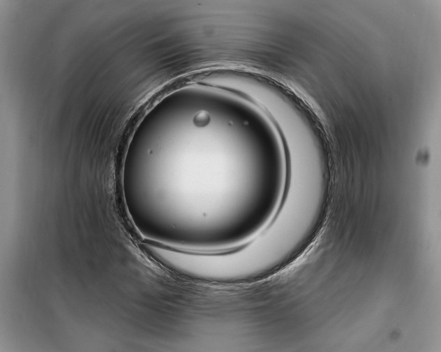 X0000099520969200805291207