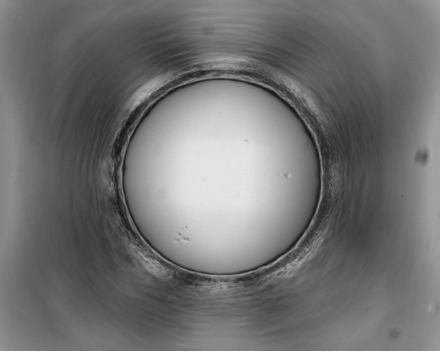 X0000099520970200805291207